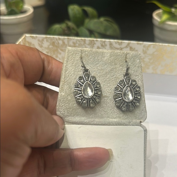 Elegant Silver Earrings - Picture 5 of 5